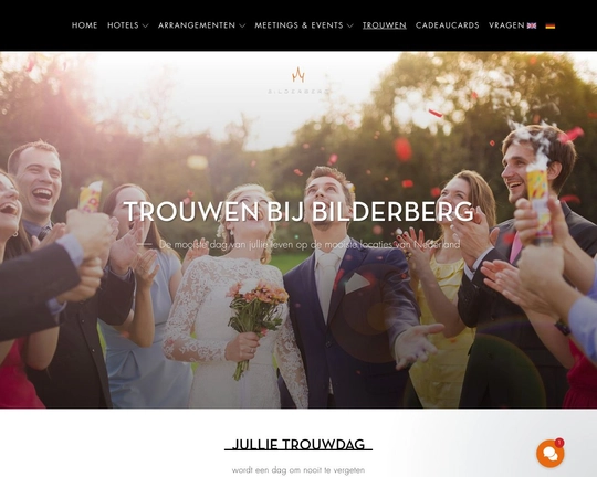 Bilderberg.nl Logo