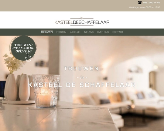 Kasteeldeschaffelaar.nl Logo