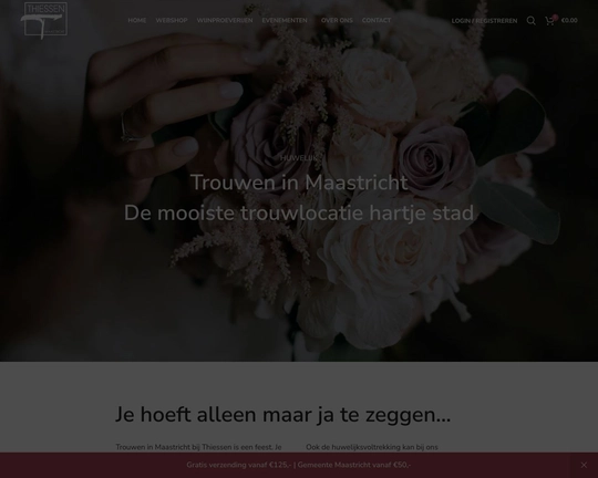 Thiessen.nl Logo