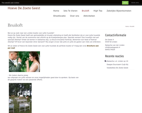 Zoetegeest.nl Logo